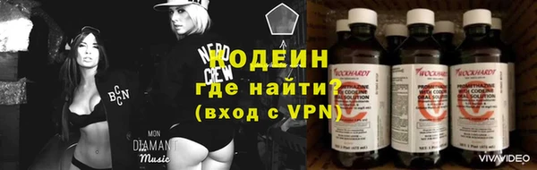 прущие грибы Нязепетровск