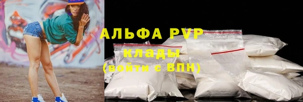 прущие грибы Нязепетровск