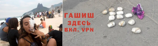 прущие грибы Нязепетровск