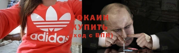 прущие грибы Нязепетровск