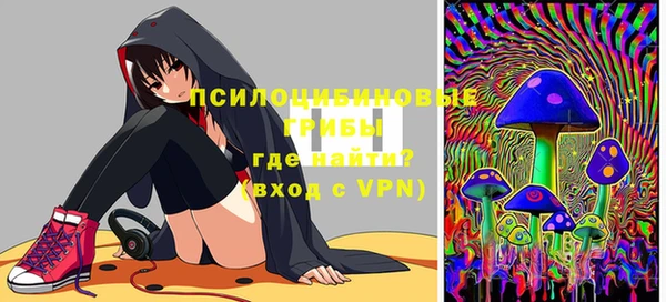 а пвп мука Няндома
