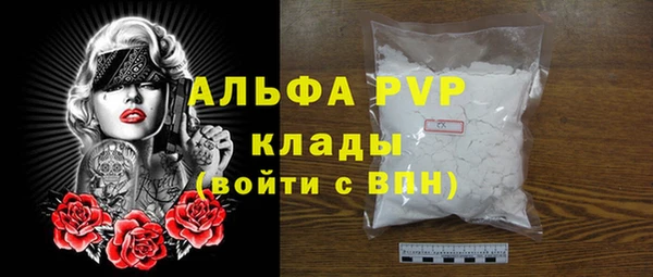 прущие грибы Нязепетровск