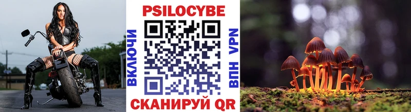где купить   Киреевск  Псилоцибиновые грибы Psilocybine cubensis 