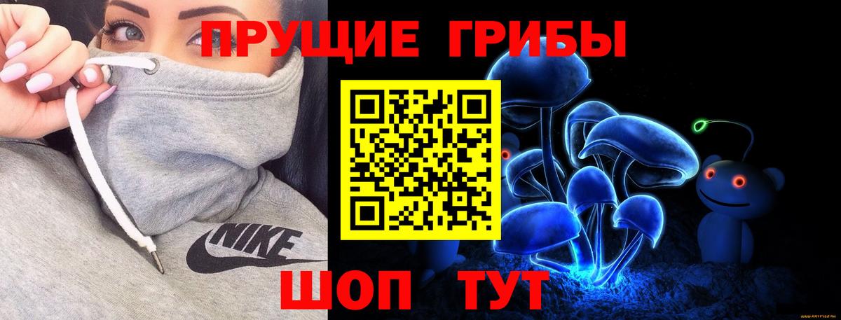 Псилоцибиновые грибы Psilocybe  Киреевск 
