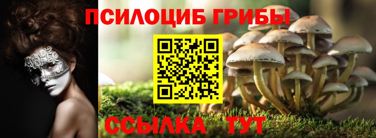 Галлюциногенные грибы Magic Shrooms  Вход с VPN  хочу наркоту  Киреевск 