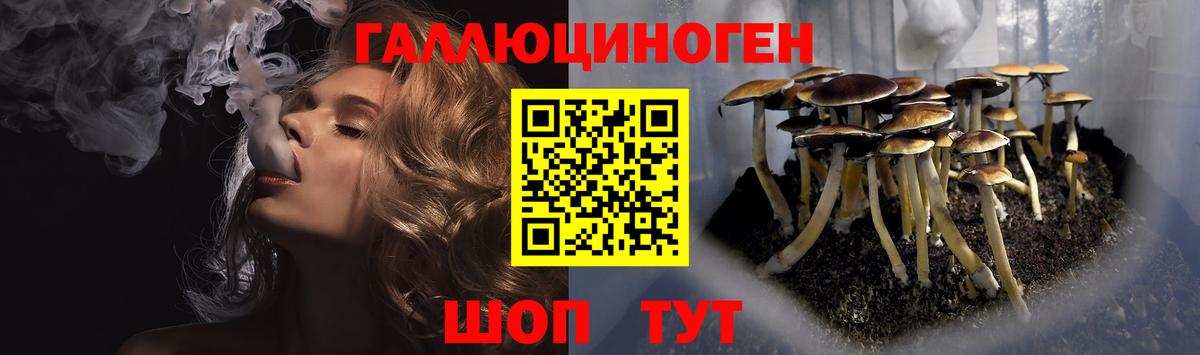 Галлюциногенные грибы MAGIC MUSHROOMS Киреевск